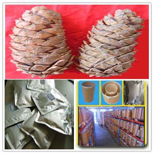 Pine cone Extract