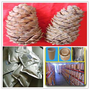 Pine cone Extract Pine cone Extract
