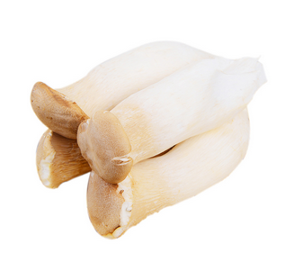 Pleurotus Eryngii Extract Pleurotus Eryngii Extract