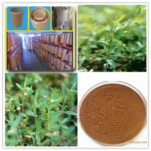 Polygonum aviculare extract Polygonum aviculare extract