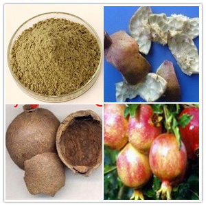 Pomegranate Husk extract Pomegranate Husk extract