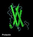 Prolactin Prolactin