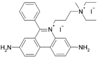 Propidium Iodide Propidium Iodide