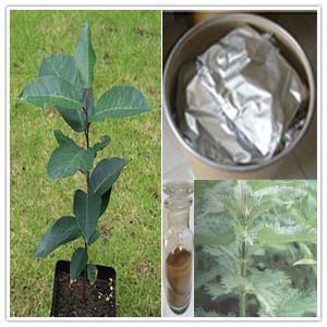 Prunus africana extract Prunus africana extract