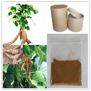 Puerariae Extract Puerariae Extract