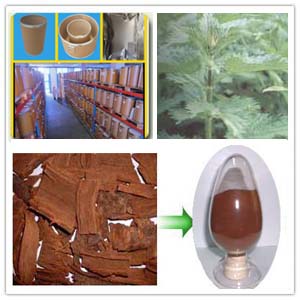 Pygeum Africanum Extract Pygeum Africanum Extract