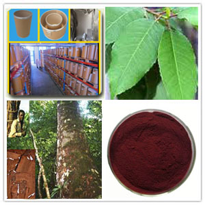 Pygeum Extract Pygeum Extract
