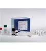 Rat Follicle stimulating hormone ELISA kit