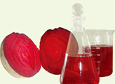 Red Beet Red Beet