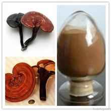 Reishi mushroom extract Reishi mushroom extract