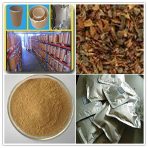 Rhamnus frangula Extract Rhamnus frangula Extract