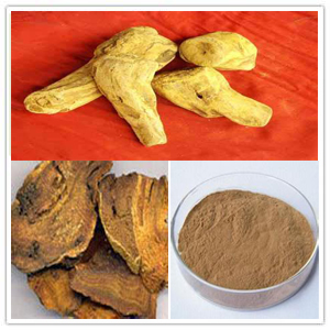 Rhubarb Extract Rhubarb Extract
