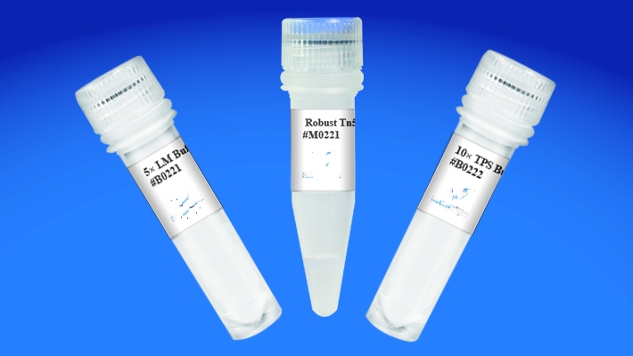 Robust Tn5 Transposase