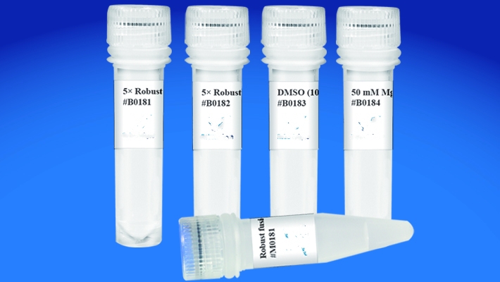 Robust fusion DNA polymerase