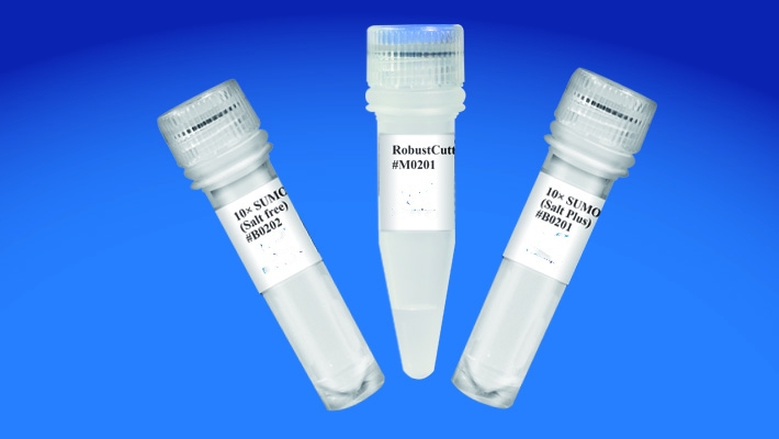 RobustCutter Sumo Protease