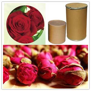 Rose Extract Rose Extract