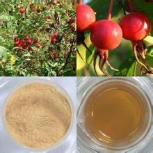 Rose Hip extract