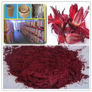 Roselle Powder Extract ,Roselle Powder P.E.