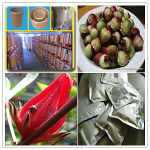 Roselle seed Extract Roselle seed Extract