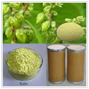 Rutin Extract Rutin Extract