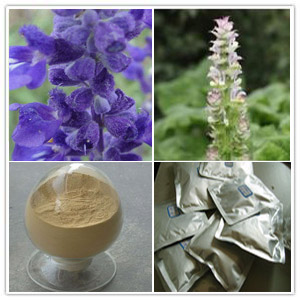 Sage extract Sage extract