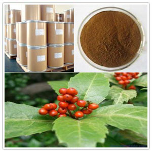 Sarcandra Glabra Extract Sarcandra Glabra Extract