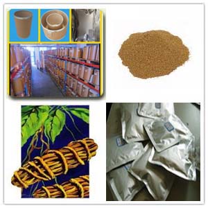 Sarsaparilla root extract Sarsaparilla root extract