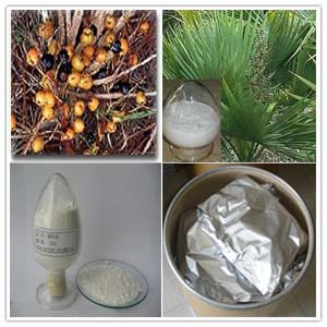 Saw Palmetto Extract