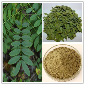 Senna Leaf Extract