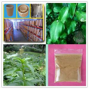 Soap Bark Extract Soap Bark Extract