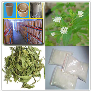 Stevia Extract