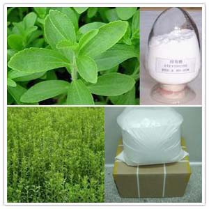 Stevia Leaf extract Stevia Leaf extract