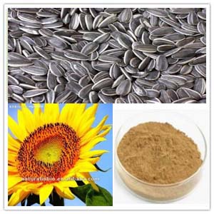 Sunflower seed Extract
