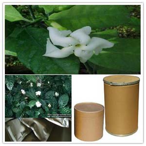 Tabernaemontana divaricata extract Tabernaemontana divaricata extract