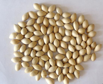 Tangerine seed extract