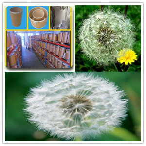 Taraxacum extract
