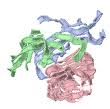 Thyroid-stimulating hormone Thyroid-stimulating hormone
