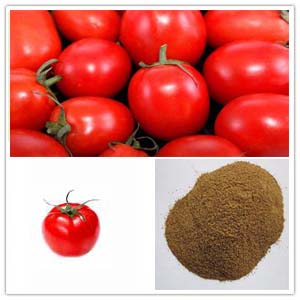 Tomatoes Extract Tomatoes Extract