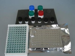 Trypanosoma cruzi ELISA kit