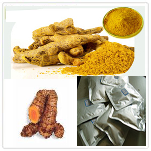 Turmeric Rhizome Extract Turmeric Rhizome Extract