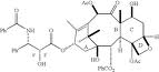 Urinary nucleosides Urinary nucleosides