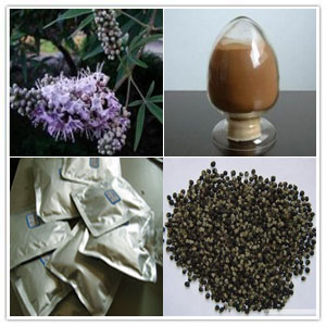 Vitex Agnus Castus Dry Extract Vitex Agnus Castus Dry Extract