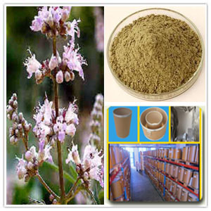 Vitex Extract Vitex Extract