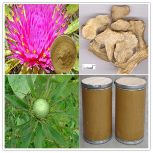 White Atractrylodes Extract