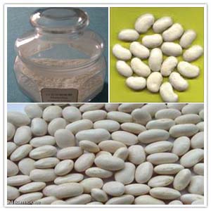 White Kidney Bean Extract White Kidney Bean Extract