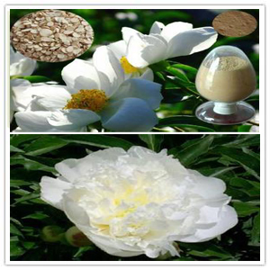 White Paeony Root extract