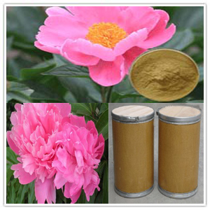 White Peoney Extract White Peoney Extract