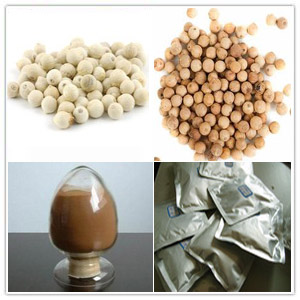 White Pepper Oleoresin White Pepper Oleoresin