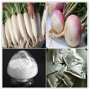 White Turnip White Turnip