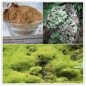 Xanthoparmelia Scabrosa extract Xanthoparmelia Scabrosa extract